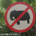 IndiaElephant